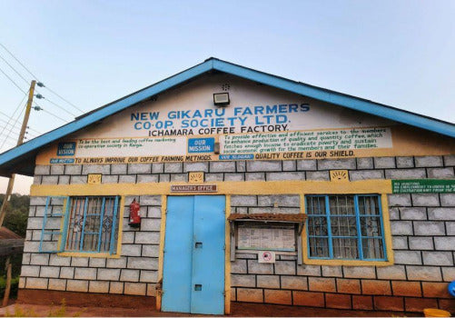 AA Ichamara #95 Kenya