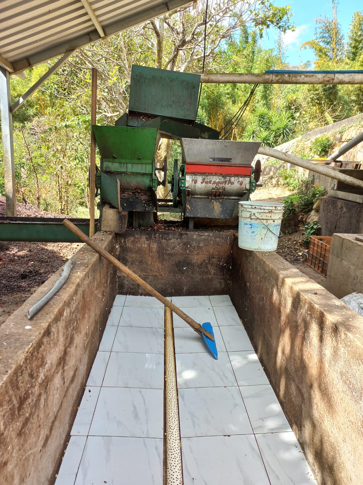 Jose Angelino El Salvador