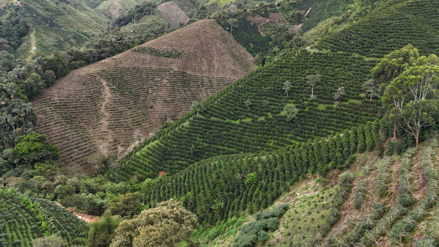 El Recuerdo - Colombia