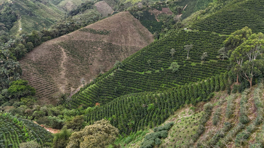 El Recuerdo - Colombia