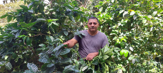 Jose Angelino El Salvador