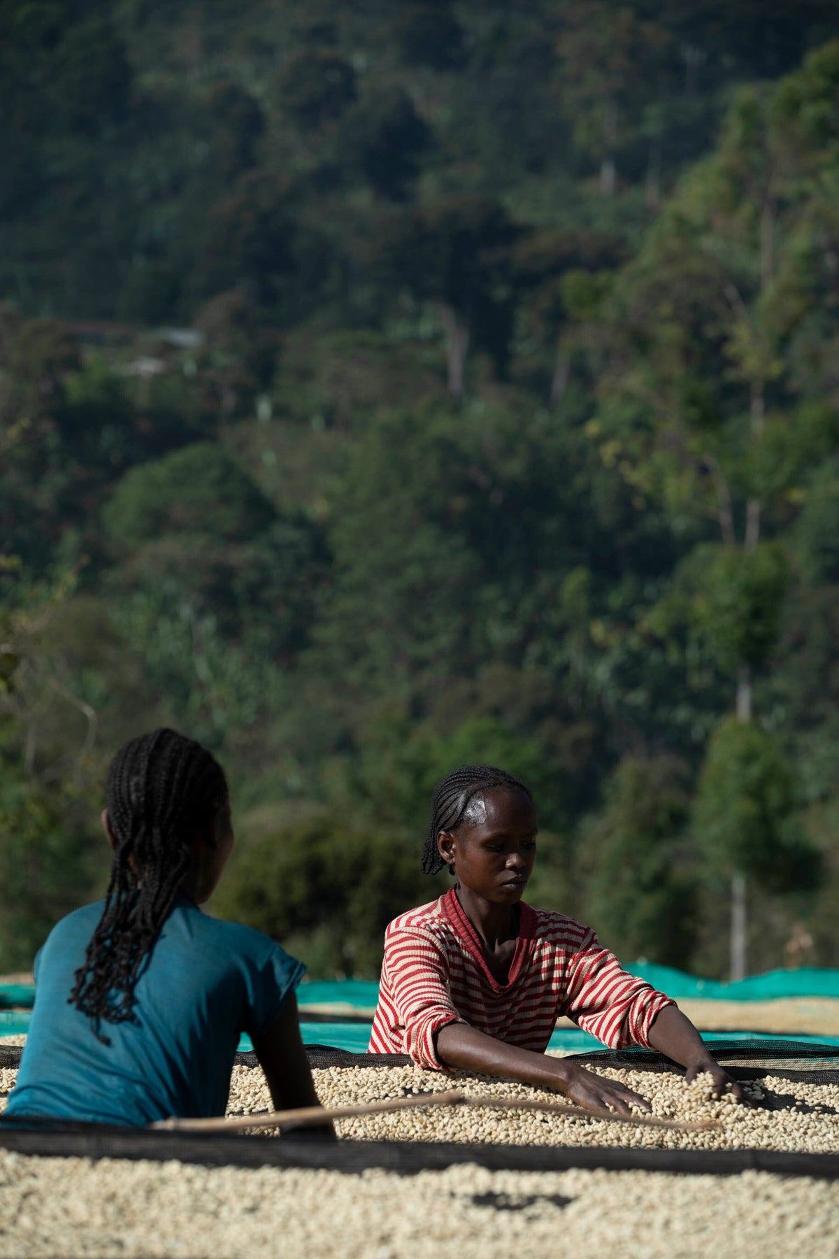 Chelbesa #4 - Ethiopia