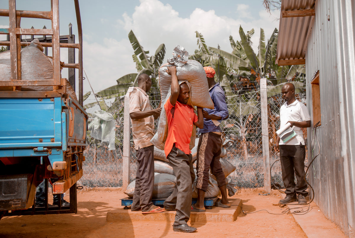 Kiwabo #2 - Uganda