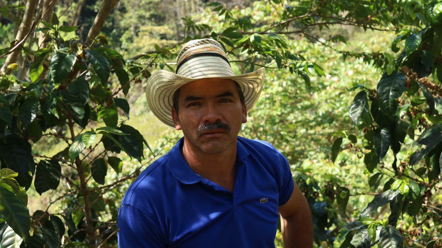 Los Chelazos - El Salvador