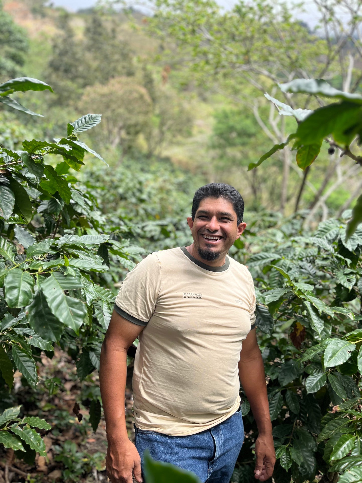 El Mural, Pacamara. El Salvador