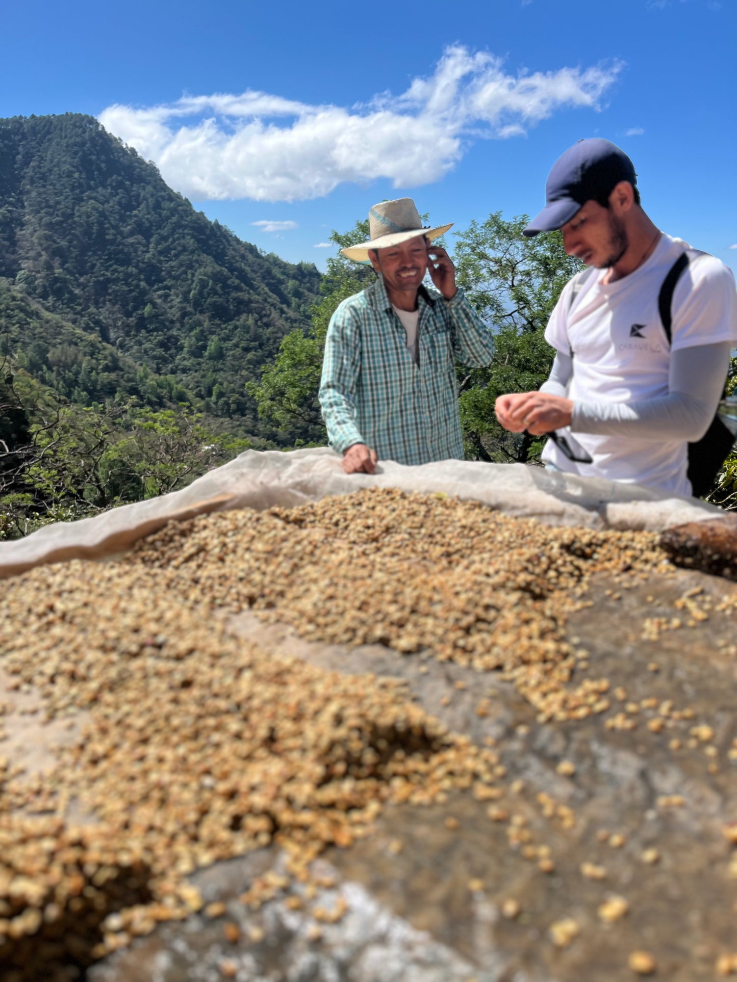 El Mural, Pacamara. El Salvador