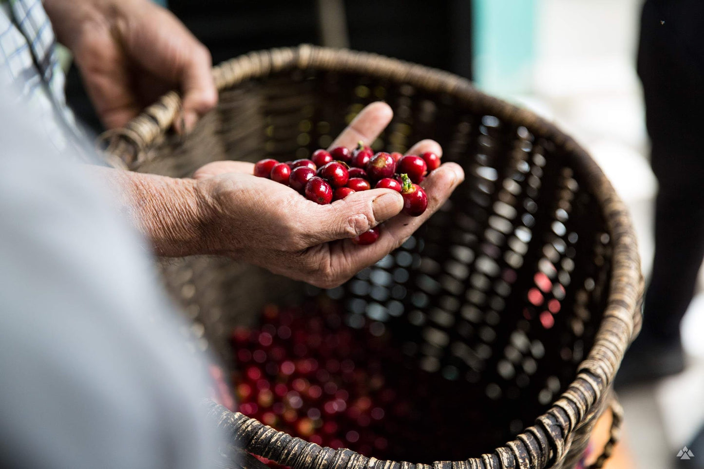 Inga Colombia (House Espresso)