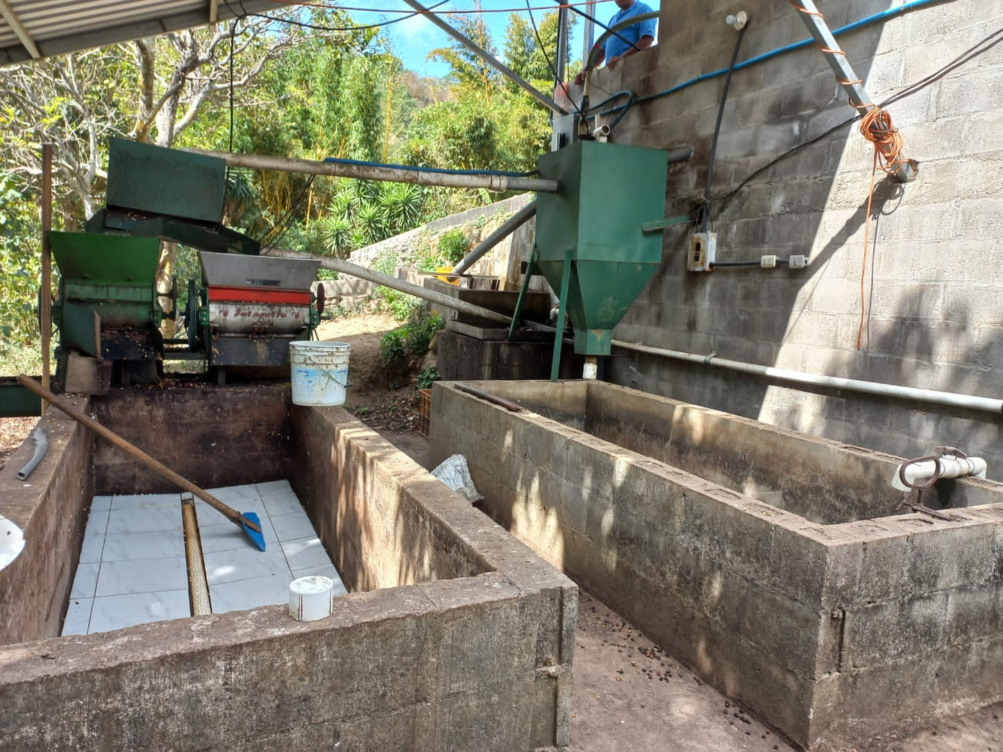 Jose Angelino El Salvador