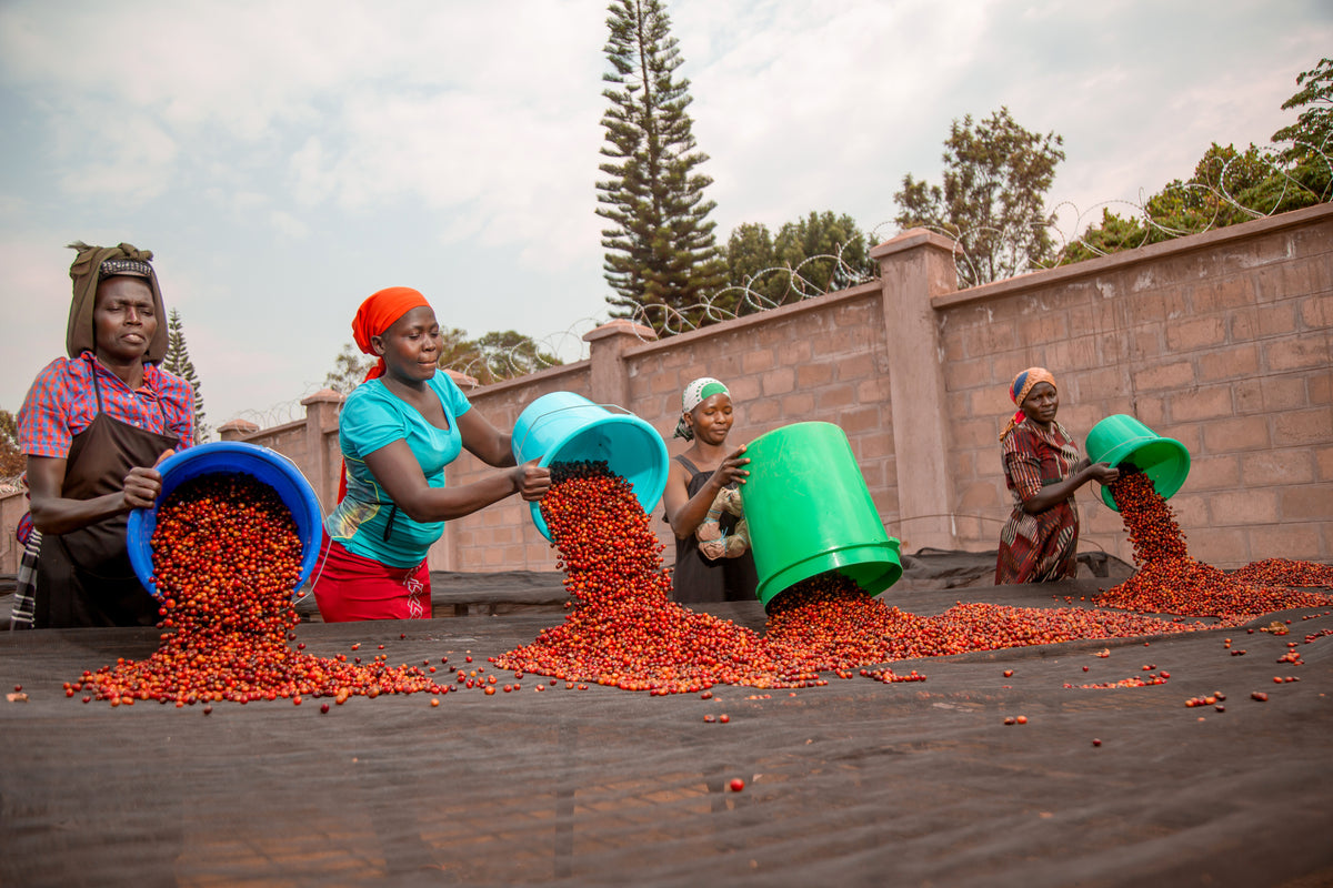 Kiwabo #2 - Uganda