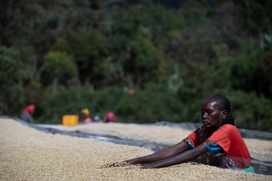 Chelbesa #4 - Ethiopia
