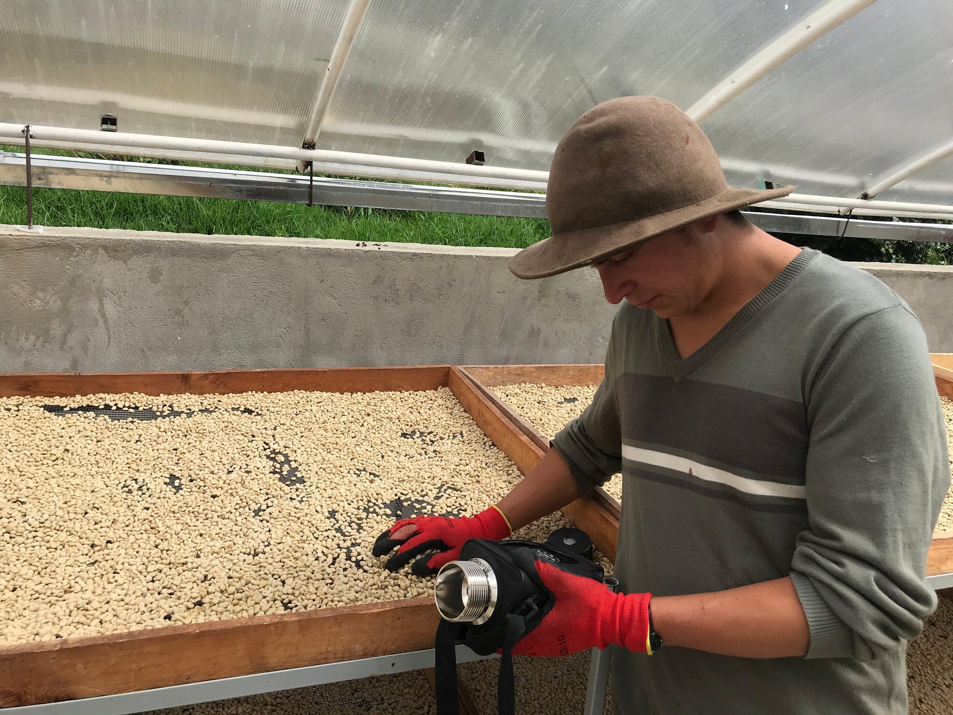 Photo of Finca Satus - Colombia
