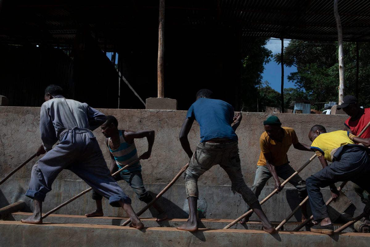 Chelbesa #4 - Ethiopia